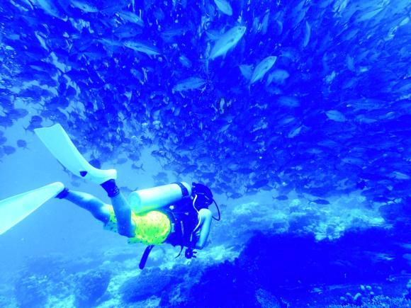 探索世界的奇妙之旅,尽在房屋装修适合用什么牌子的瓷砖?