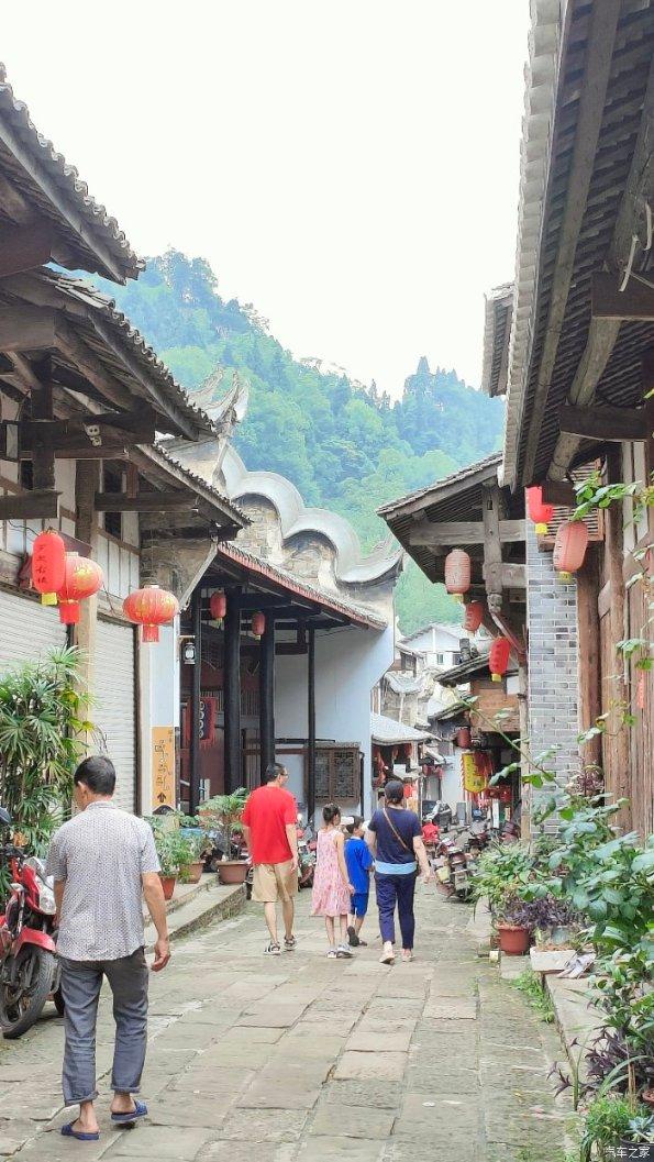 茂密丛林逃生